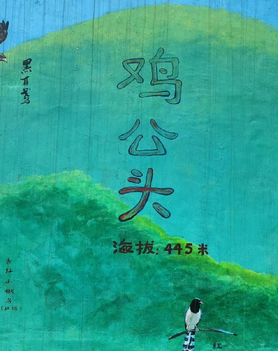 深圳的朋友，爬过这座山的举手🙌
鸡公头是银湖山的主峰，海拔445米，位于福田、