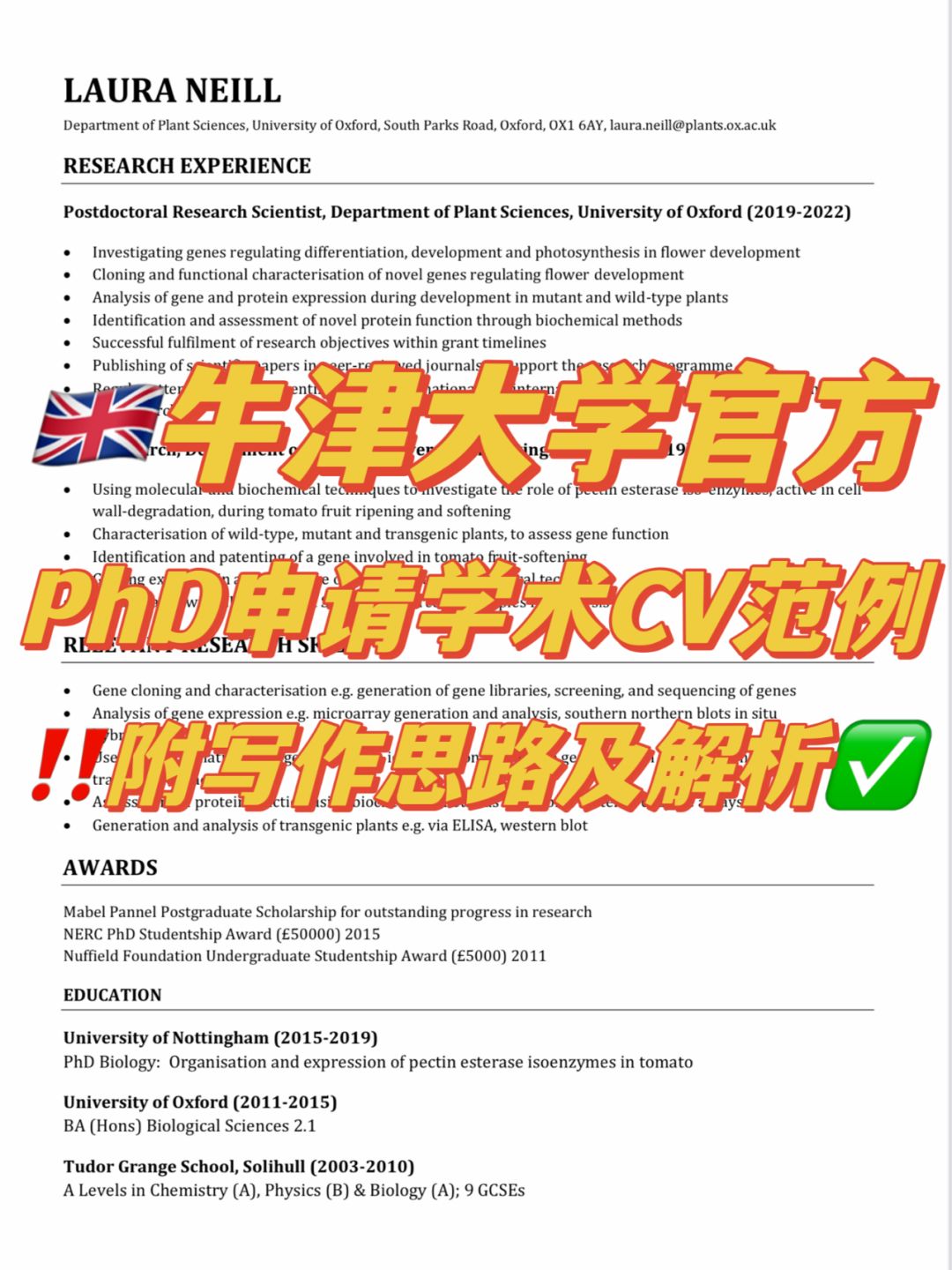牛津大学官方发布phd申请学术简历模板❗️