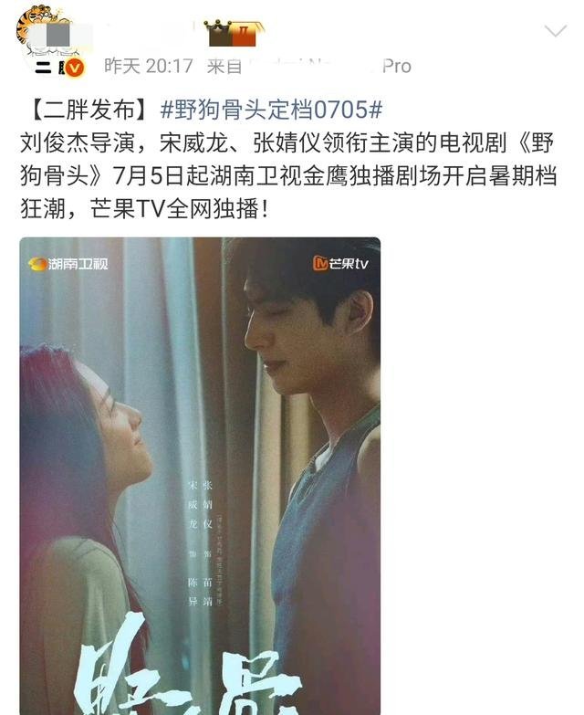 现偶一连三扑！《野狗骨头》接档，宋威龙张婧仪能否成功破圈？ 