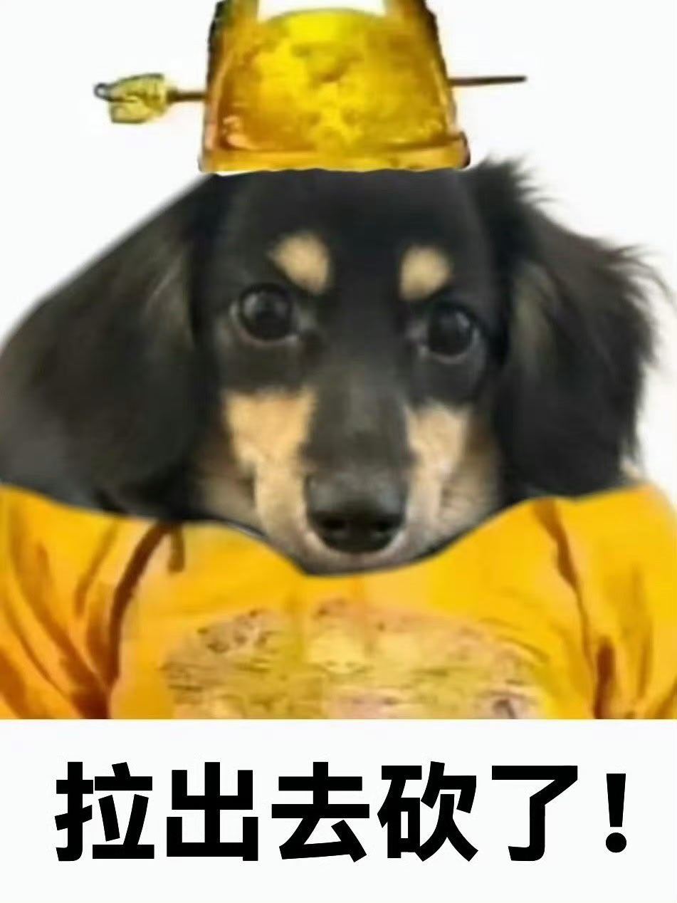 热搜上两家实打实有团队，大家说话的时候自己掂量着
