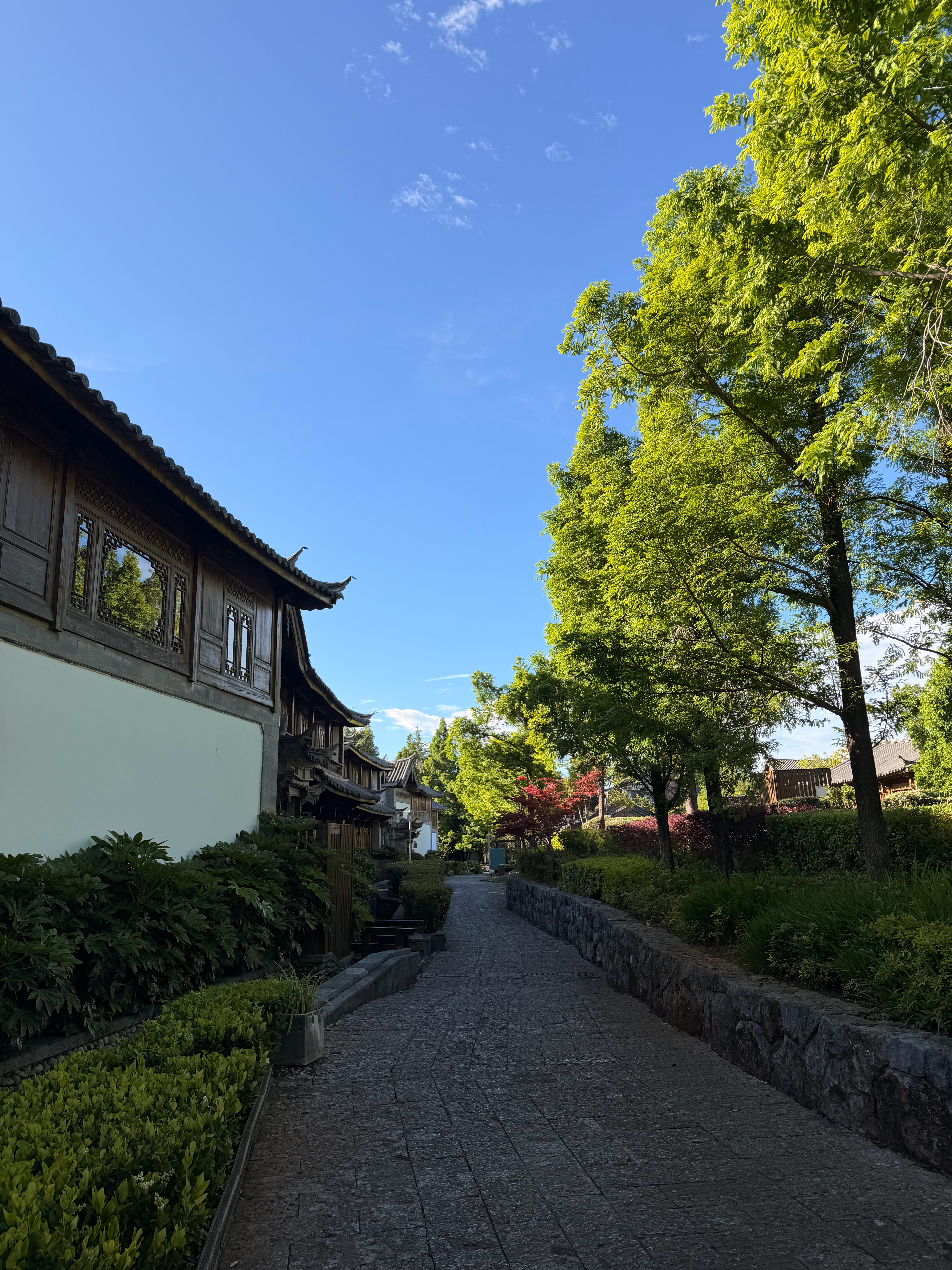 丽江这天气也太好了吧 