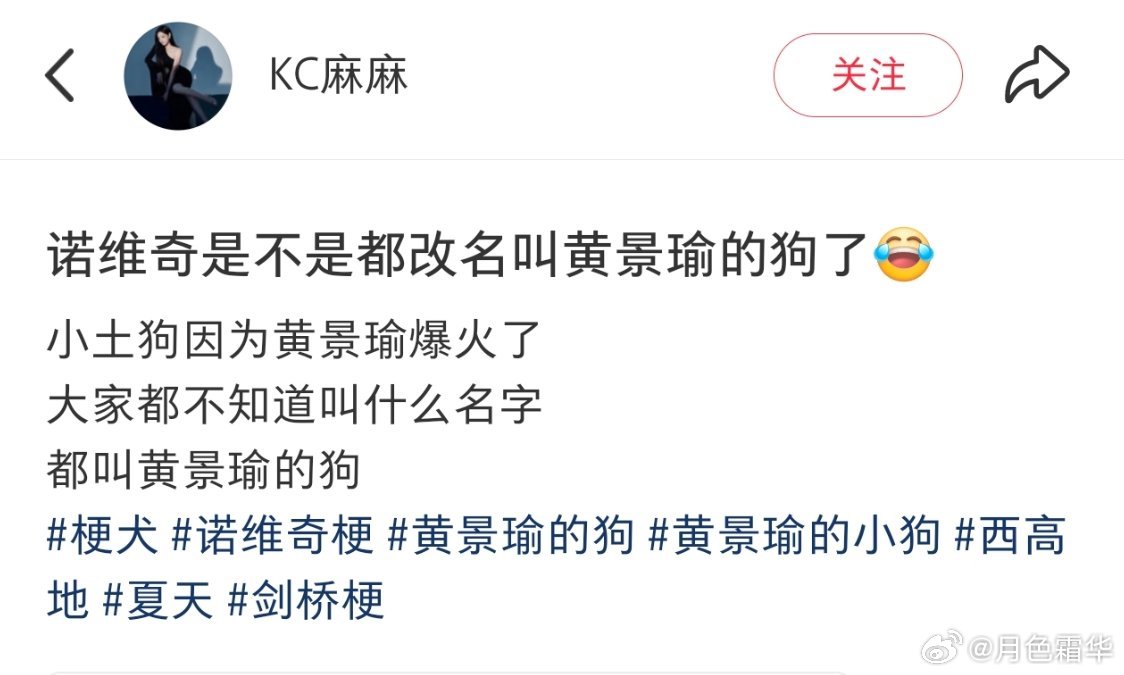 哈哈哈哈哈，跟我了解的情况差不多。黄景瑜的小狗。 