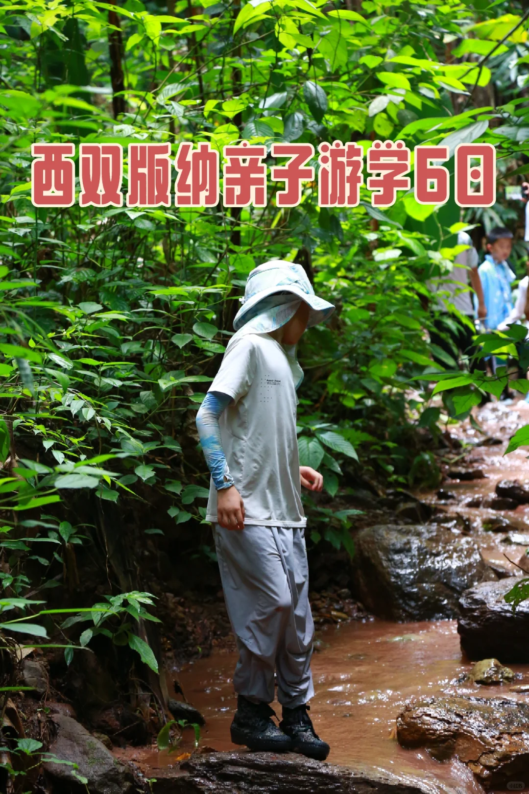 西双版纳真的太适合带娃了 亲子游学6日