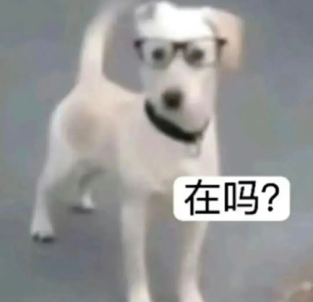 午餐 吃饭了吗各位宝宝 