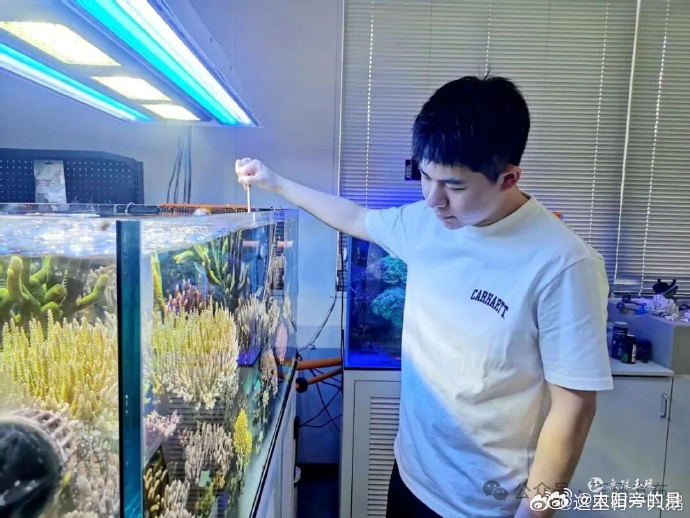 玉环青年让海底花园成为室内一景深耕本土适配养殖技术，青年创客培育活体珊瑚，谋划家