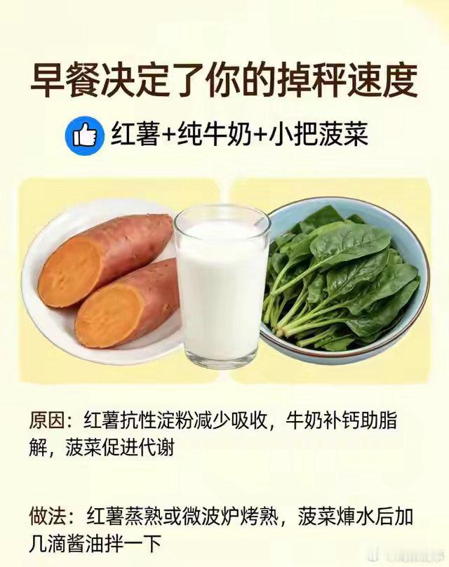 阎肃观察肃言肃语 早餐决定了你的掉秤速度。快来看看这样吃早餐事半功倍！ 