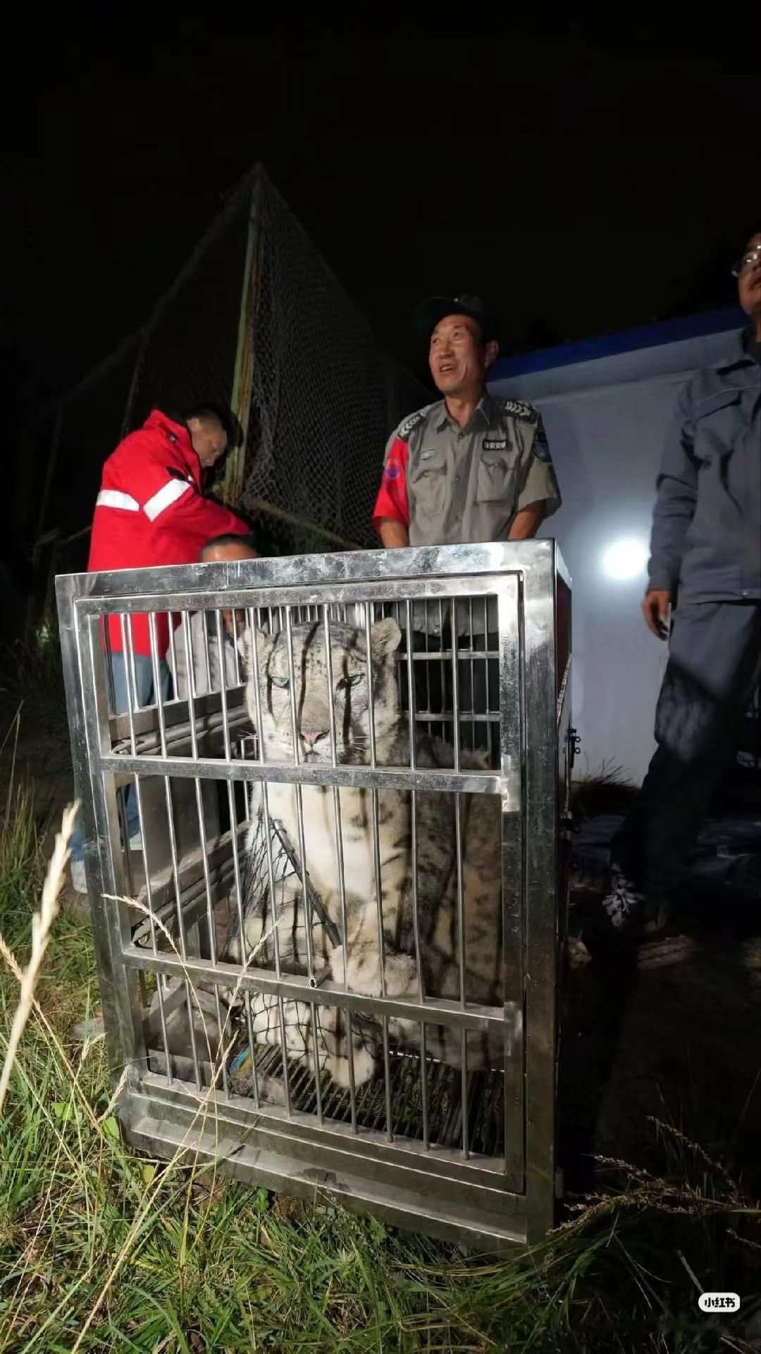 大家看出来了吗？
被找回来的“闹闹”
不仅非常不开心，还是
一脸不服气的表情！