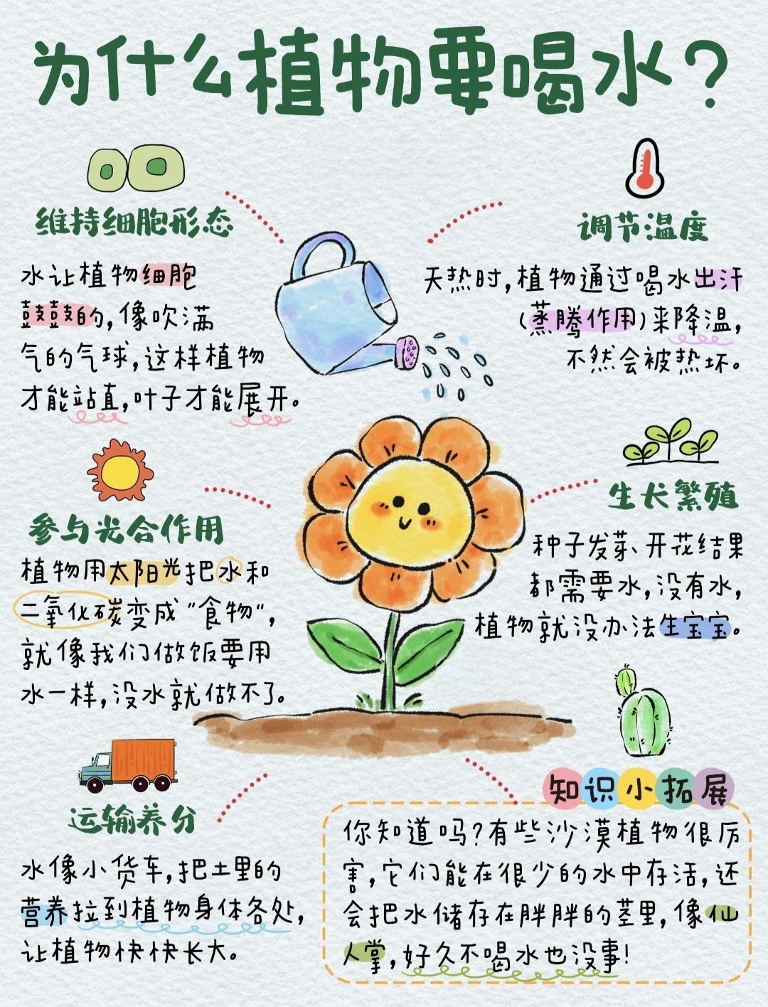 为什么植物要喝水❓