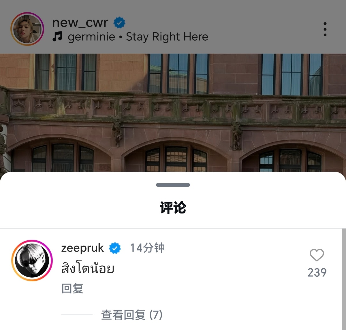 zeenewzeenunew 🐺：小狮几😵 