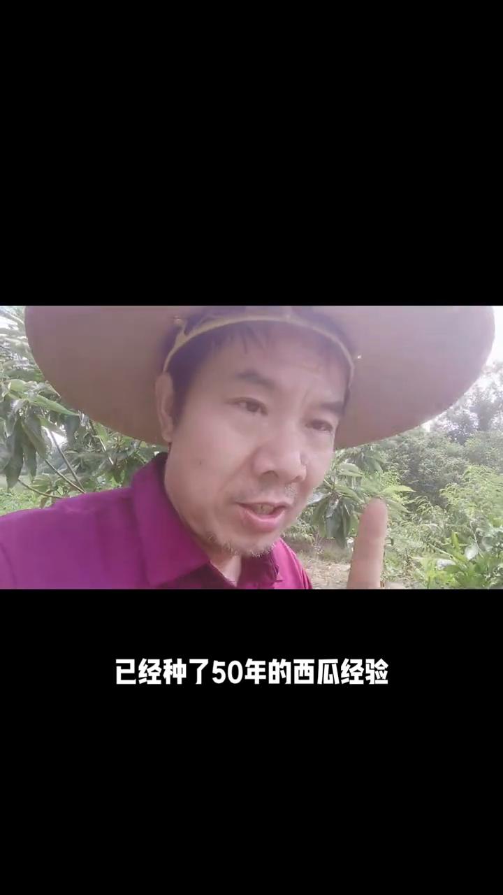 怎样让西瓜长得快而且又圆又好看？
大家好，我是湖南老六。老六已经种了50年的西瓜