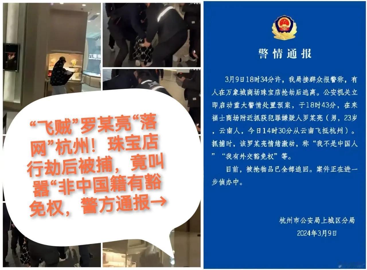 “飞贼”罗某亮“落网”杭州！珠宝店行劫后被捕，竟叫嚣“非中国籍有豁免权，警方通报