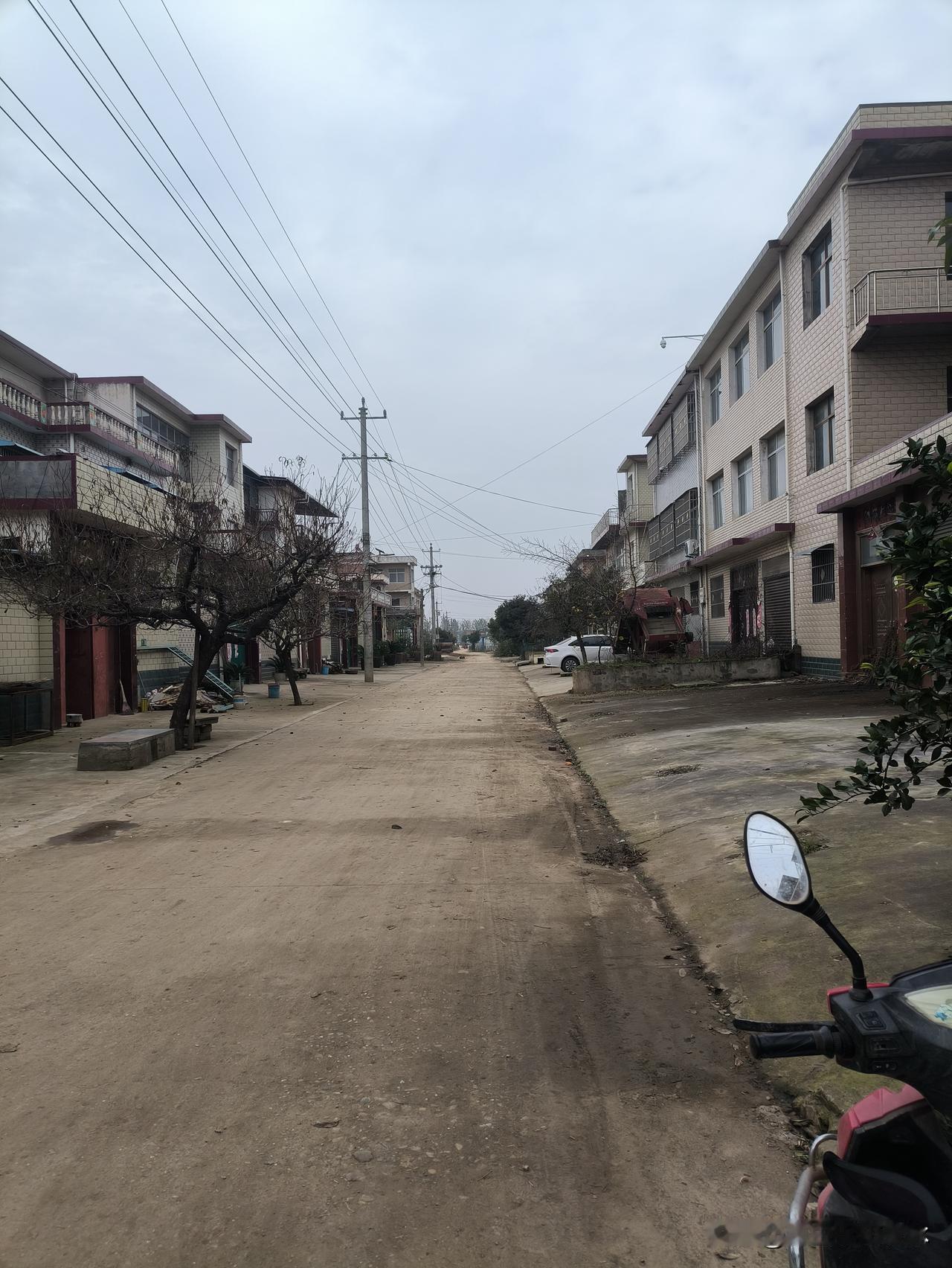 单身男人若坐拥丰厚钱财，找个老伴相伴并非难事，毕竟钱财充裕，和老伴共度余生比单身