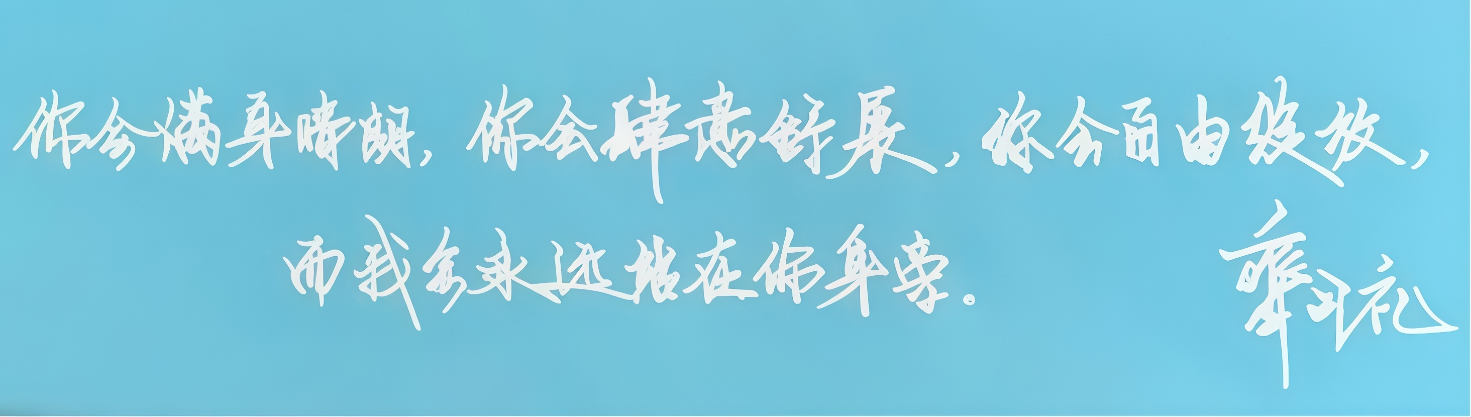 齐司礼你会满身晴朗，你会肆意舒展，你会自由绽放而我会永远站在你身旁。完全引导型恋