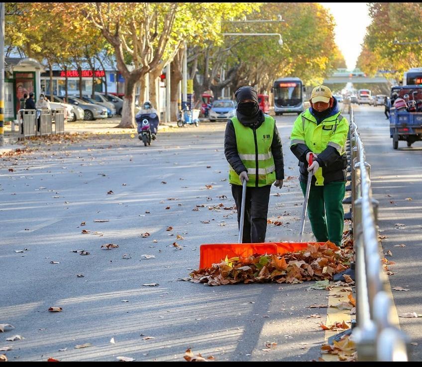 树叶的搬运工

昨天，去西外环骑自行车。因已入秋，路边树上的树叶有一部分已经发黄