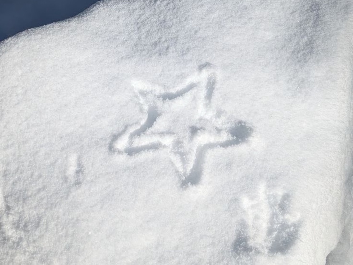 冬天下雪氛围女生头像背景  专栏 · 审美积累
