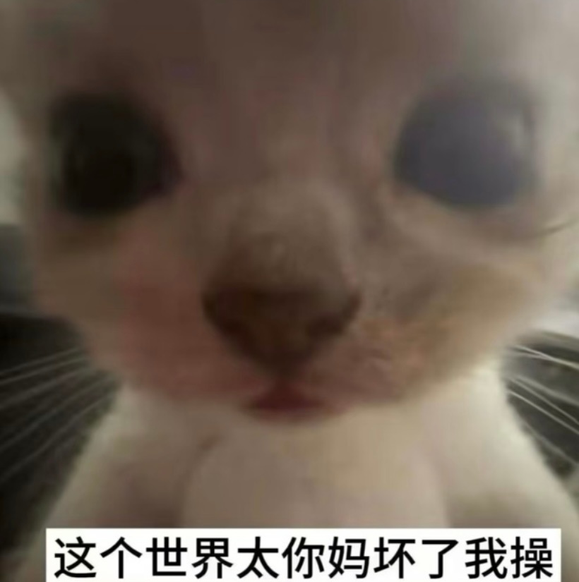因为文成公主是双鱼座，非常讨厌我的双鱼前任。我的爱都消失了，她的恨还历久弥坚。去