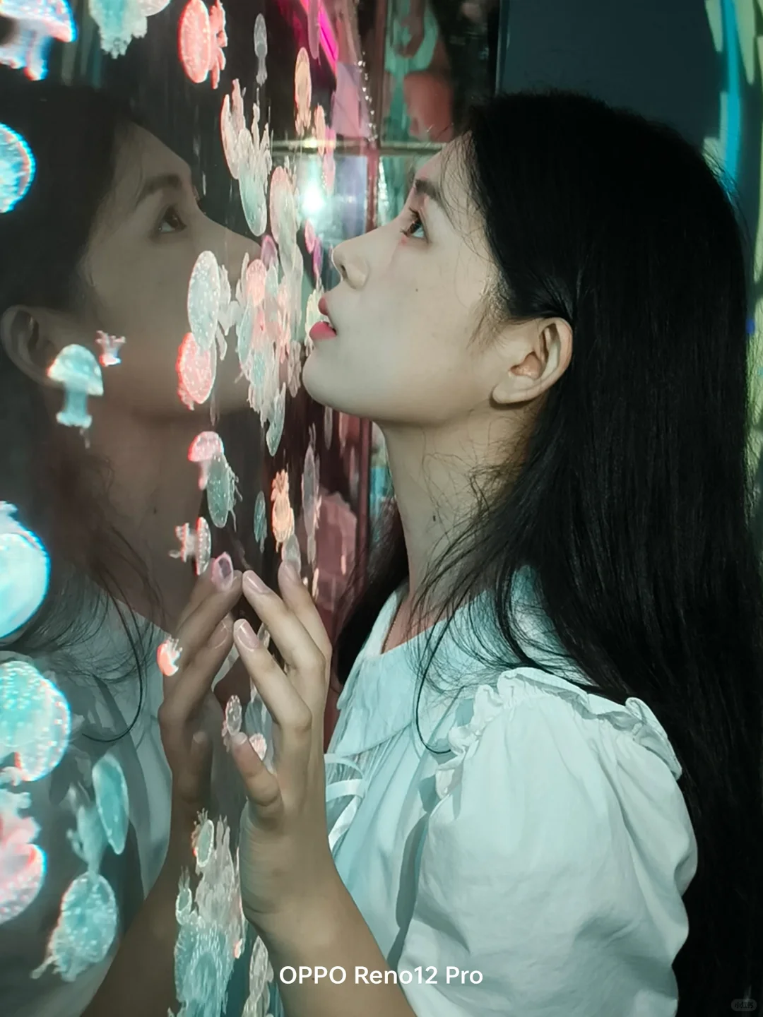 总要去趟海洋馆吧！💙live图这一刻封神了