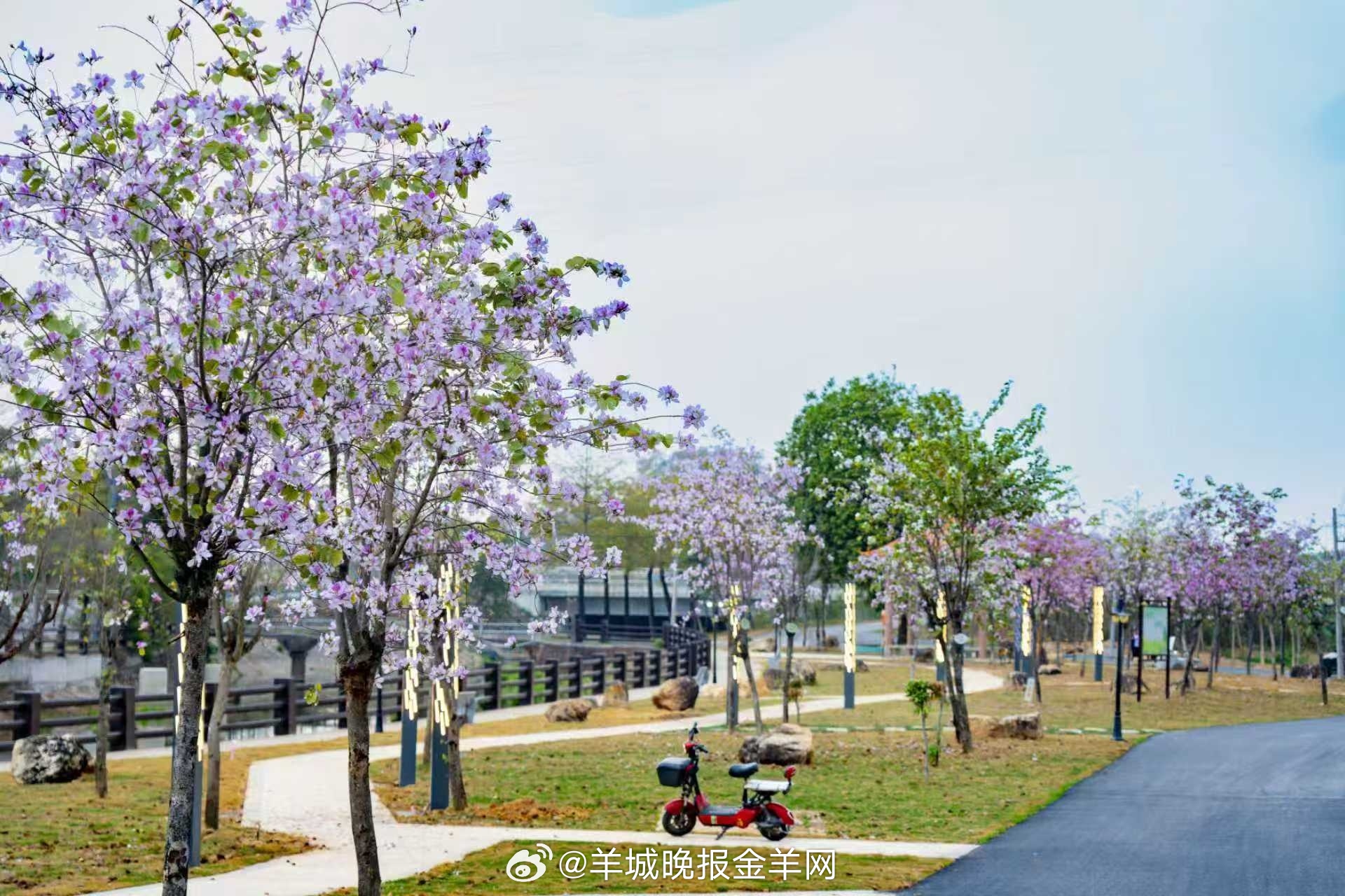 #早安#成长从来急不得，允许自己慢慢摸索，允许事情慢慢开花。 ​​​