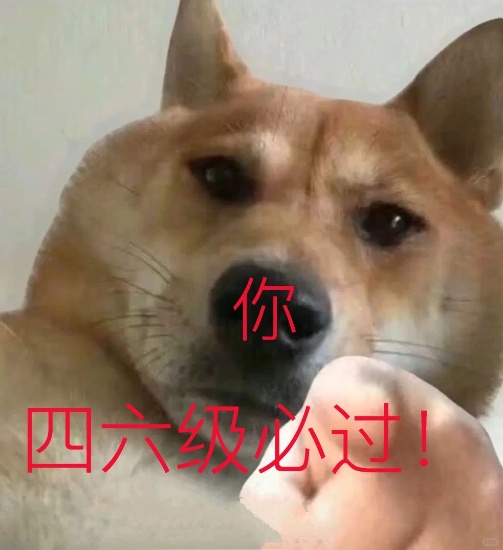 被指到的人明天四六级必过手👉👉