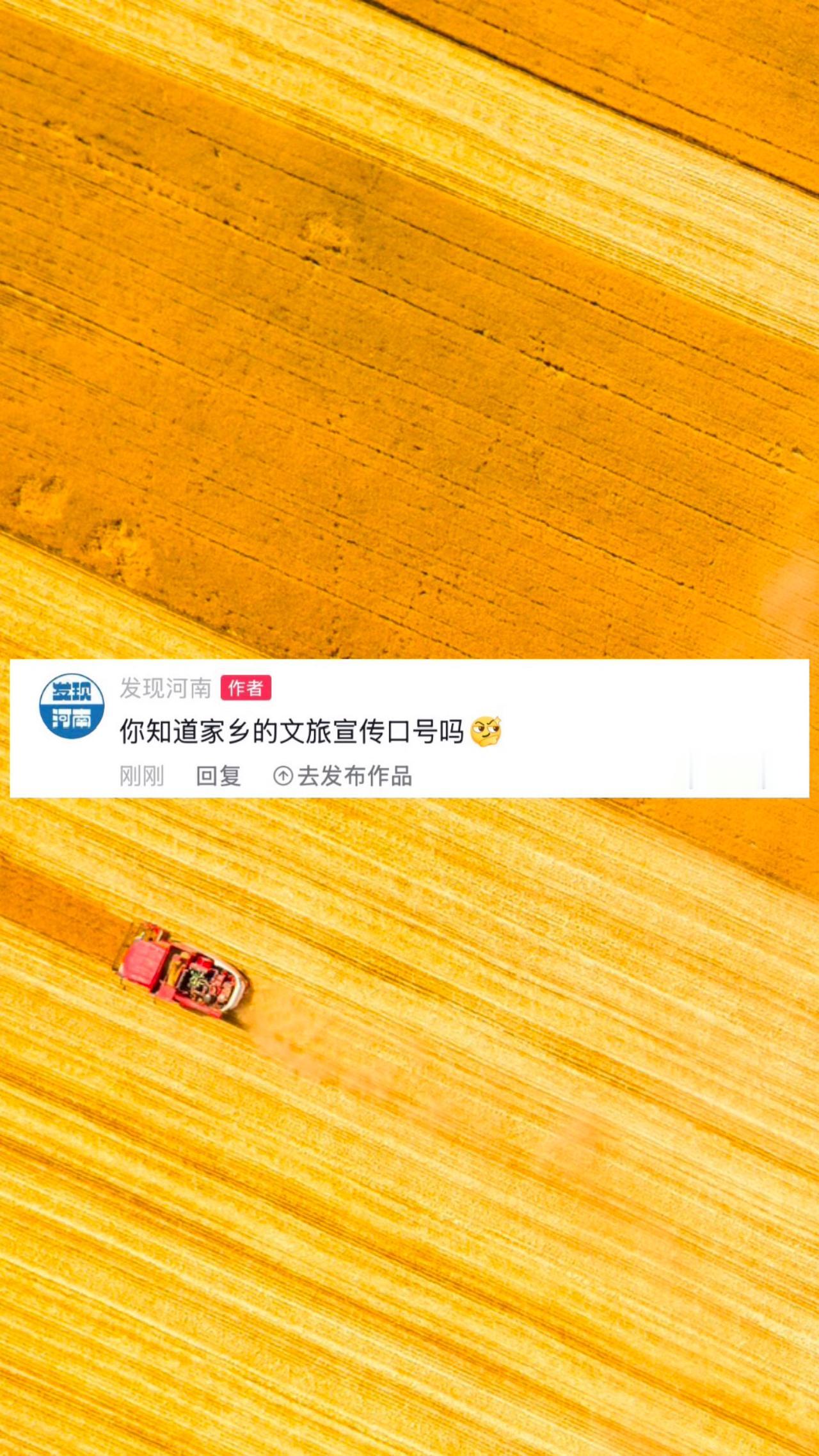 河南河南文旅河南旅游家乡