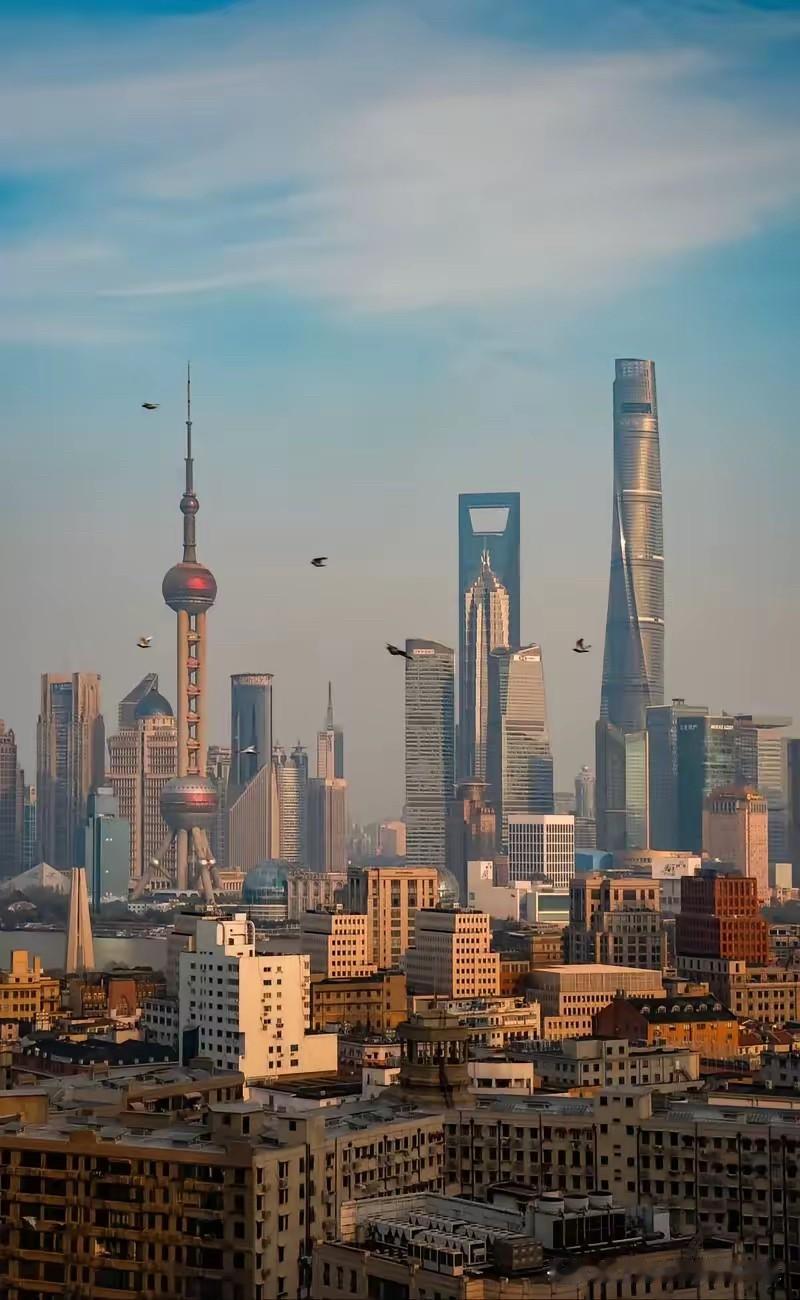 在网上总听人说上海人排外，真相处下来才发现，他们的边界感是刻在骨子里的，不会随便