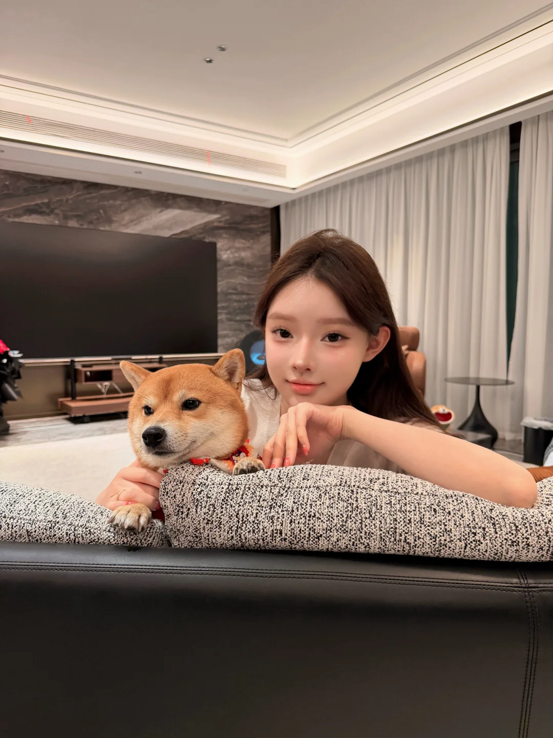 ૮・ᴥ - ა