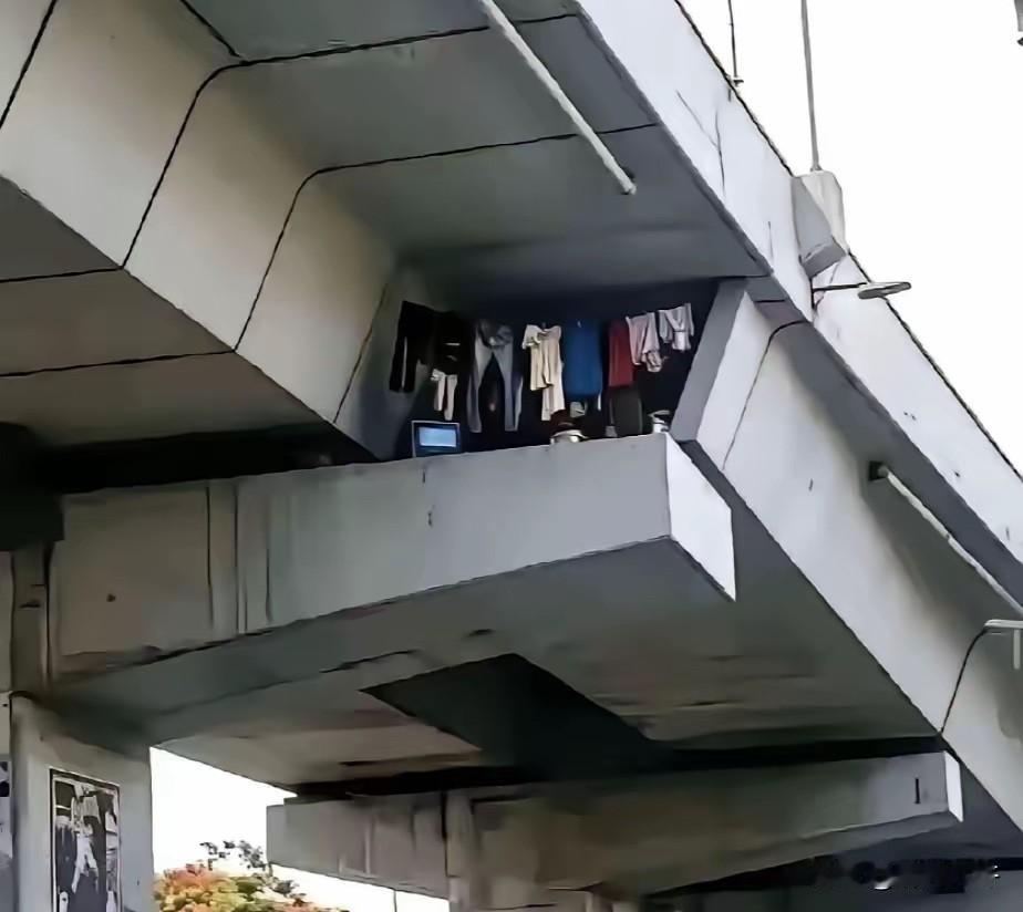 重庆，一男子乘坐 01 路公交途经城市高架，无意间抬头望向桥梁混凝土夹层时，突然