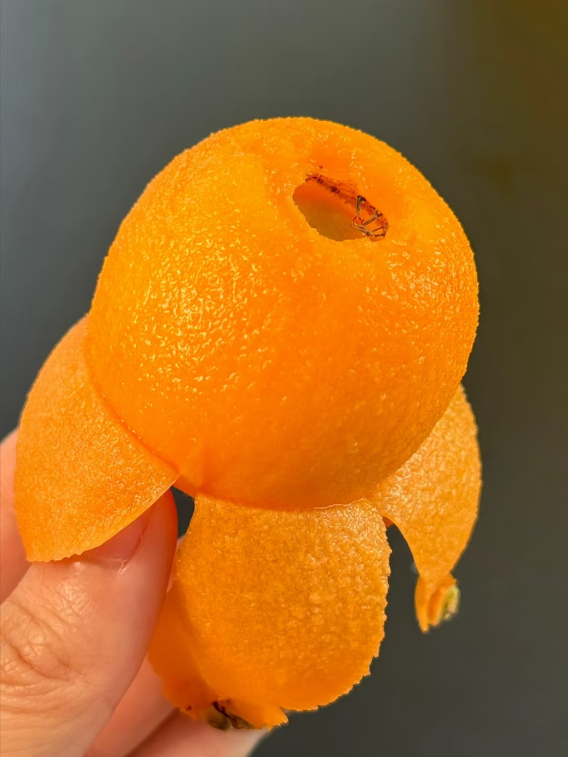 现在的枇杷也太水润了吧❗️