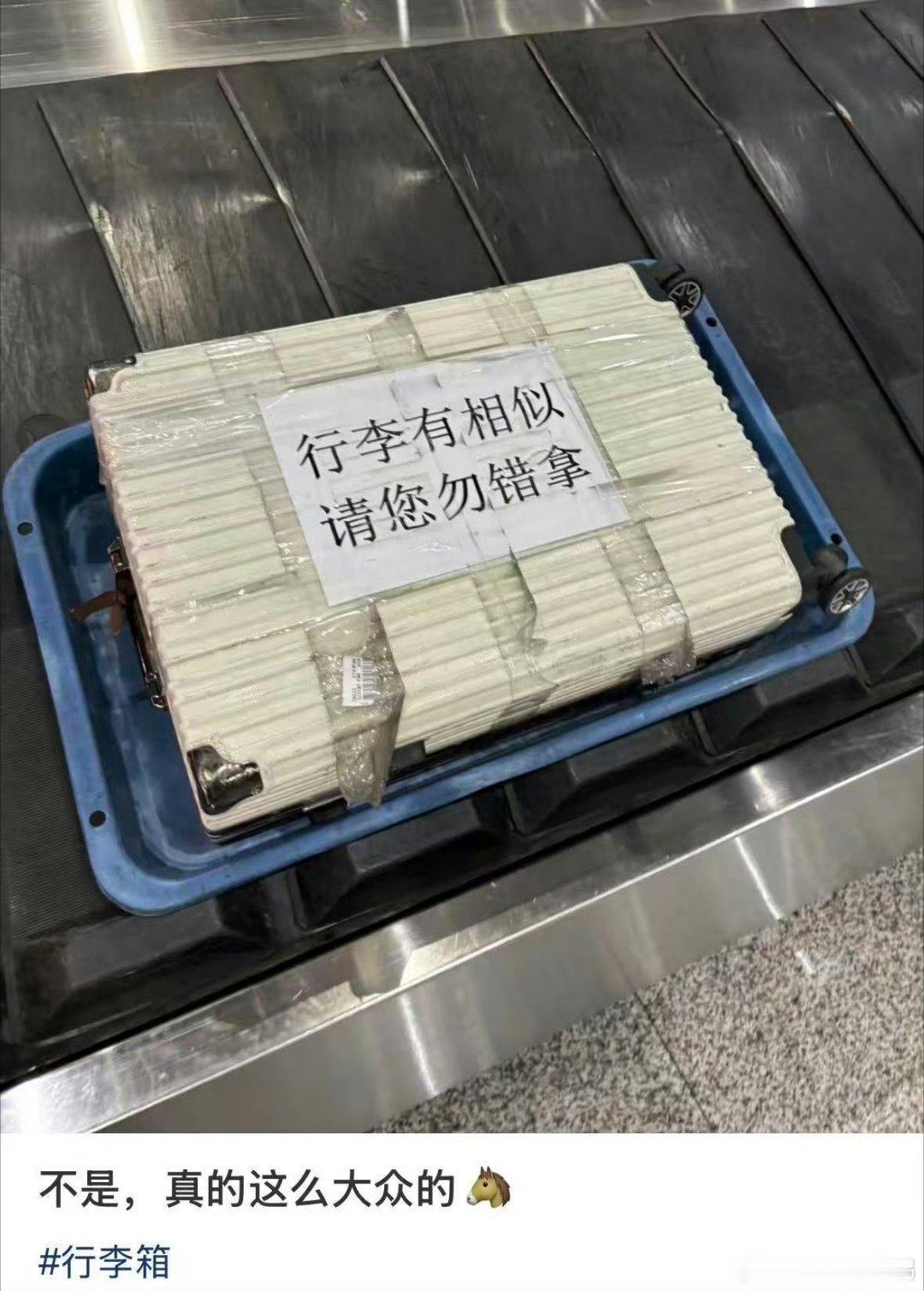 建议大家买行李箱不要太大众       行李箱大众也没事      搞一个独特一