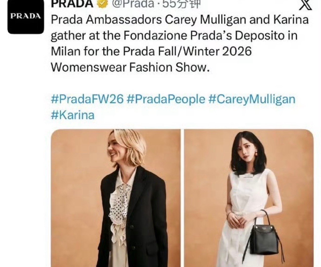 prada外网开始认领了第一批认领了有title的奥斯卡影后提名欧美女星和柳智敏