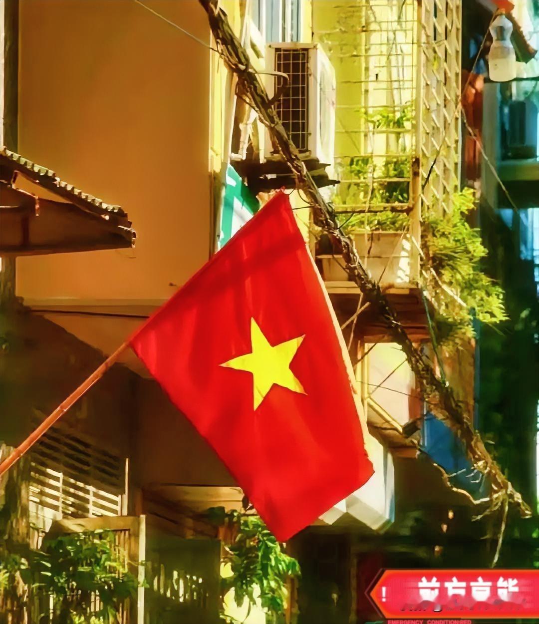 就在刚刚
中越跨境合作：电力补能+产业链绑定的务实双赢
 
越南宣布阶段性增加与