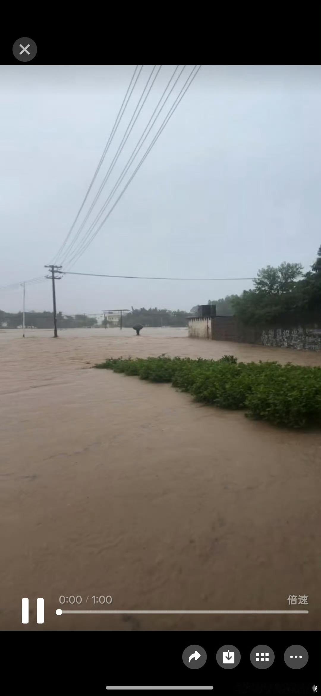 广西内涝受台风影响降雨量大，现在好多地方水位都严重上涨，甚至很多房屋都被淹过了1