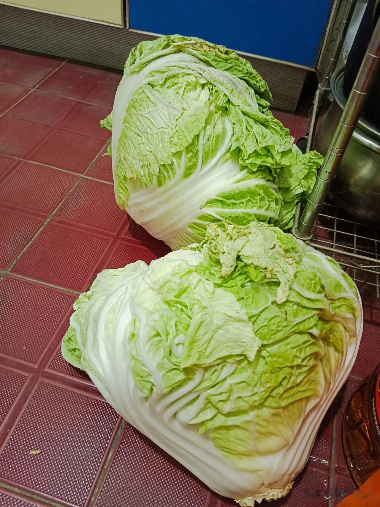 不管收益是多是少，我们都应该提出来，因为这是我们辛苦付出后的劳动所得