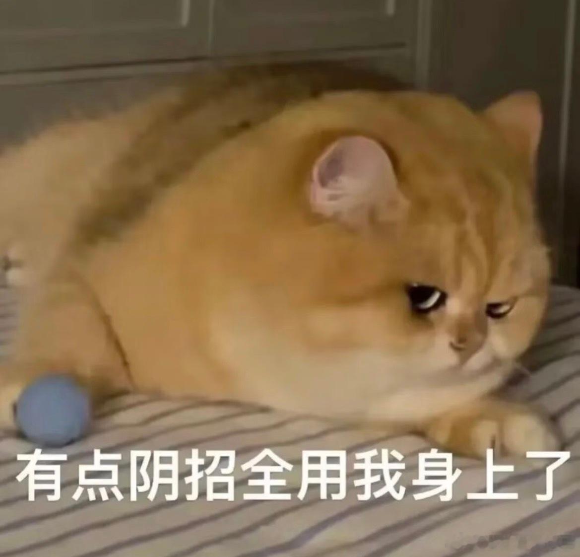 麻醉学就业率几乎100%早不说，我都毕业好几年了才告诉我，要是在我上大学之前告诉