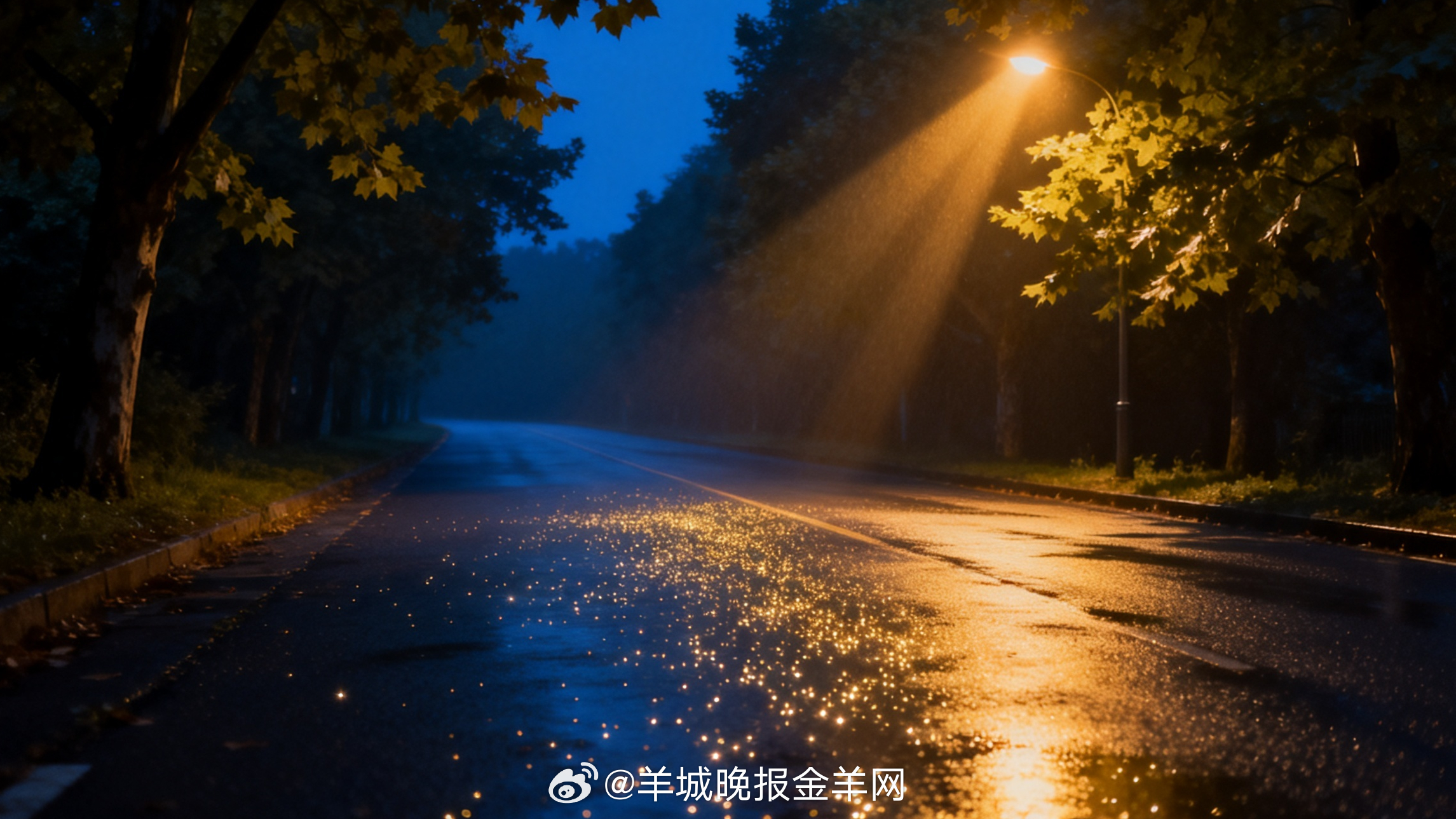 #晚安#夜色是温柔的背景，衬托的是今天发过光的部分。做得好的、坚持住的、没有放弃