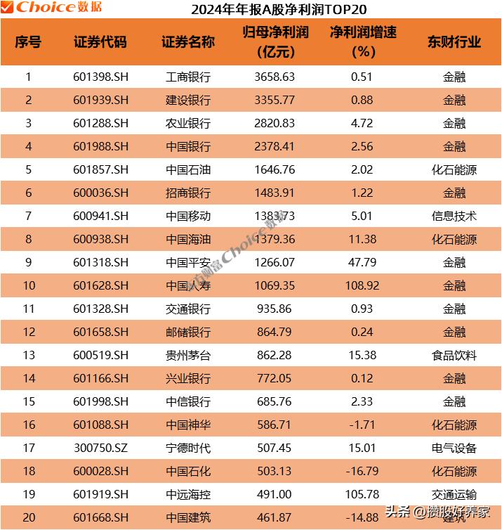 2024年A股净利润TOP20