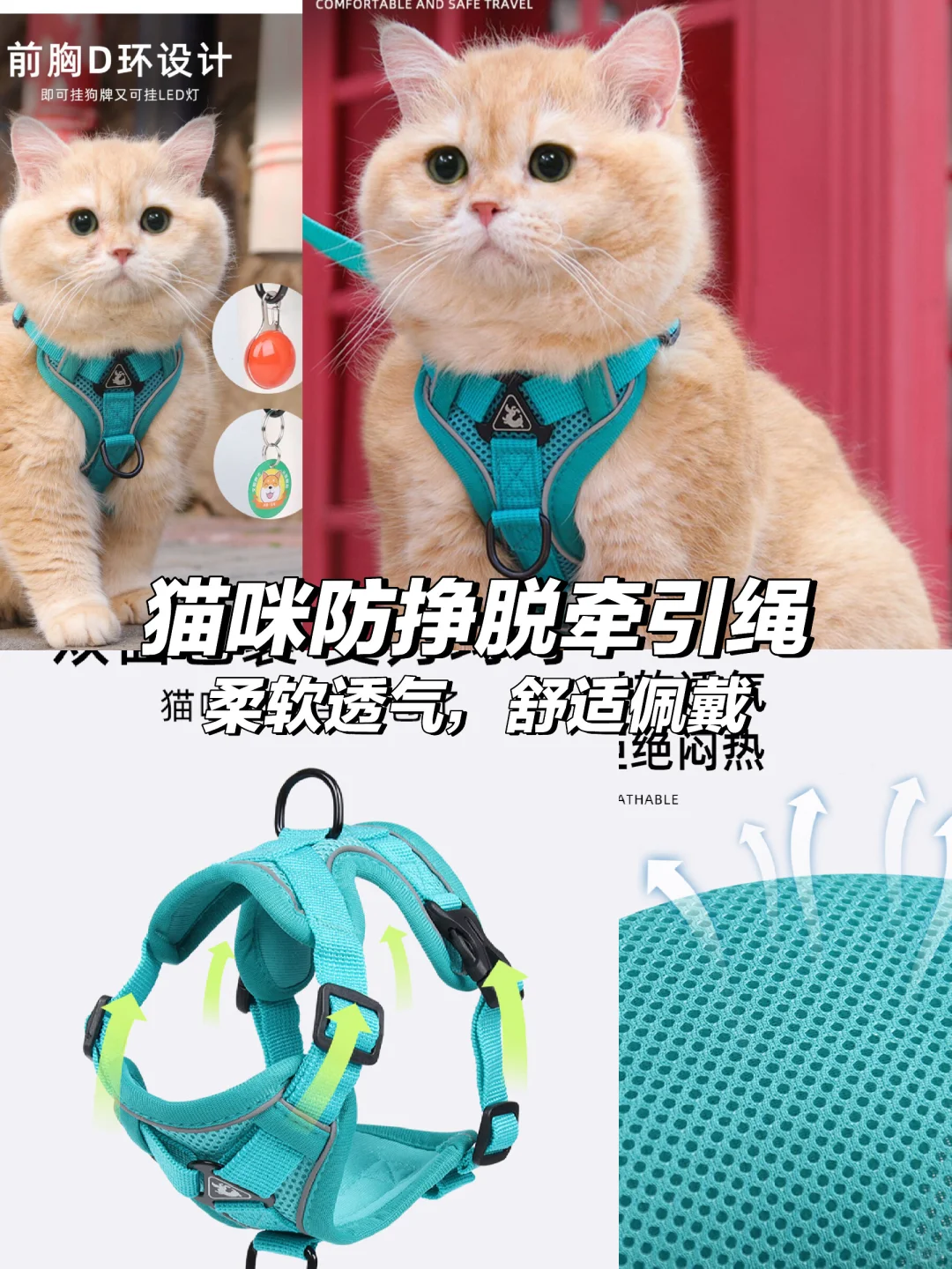 猫咪必备🐾防挣脱牵引绳