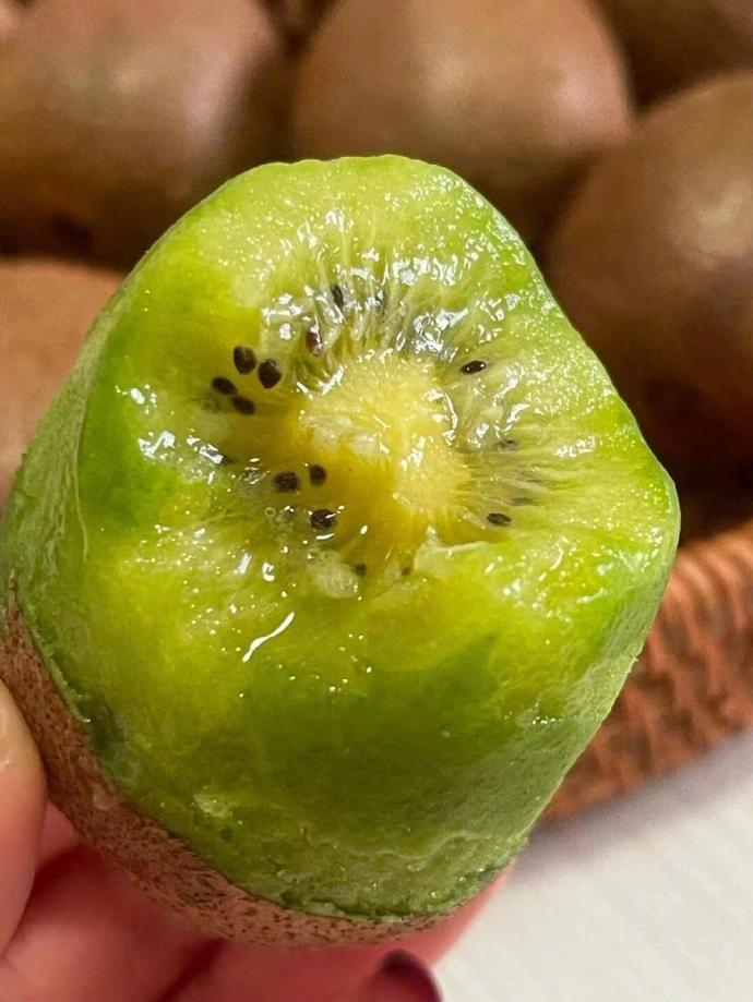 湖南绿心猕猴桃🥝张家界山桑植维C炸弹！
来张家界桑植千万别错过本地宝藏绿心猕猴
