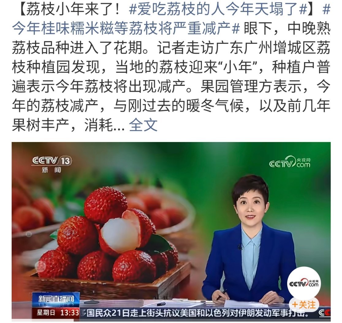 爱吃荔枝的人今年天塌了啊 那今年会很贵吧但是也没有到天塌了的程度多少能吃上今年希