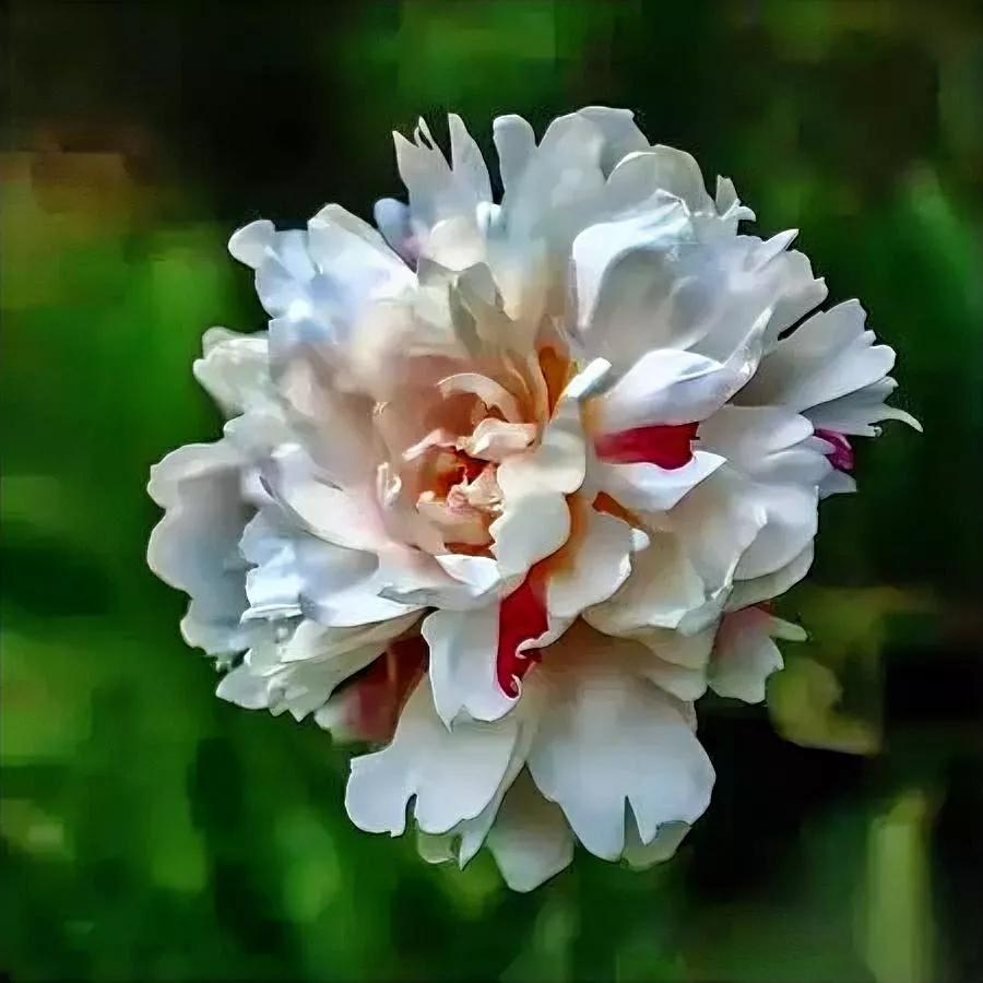 不上班一年，我成了反面教材？

别急着笑，看完再对号入座。

我退休前西装笔挺，