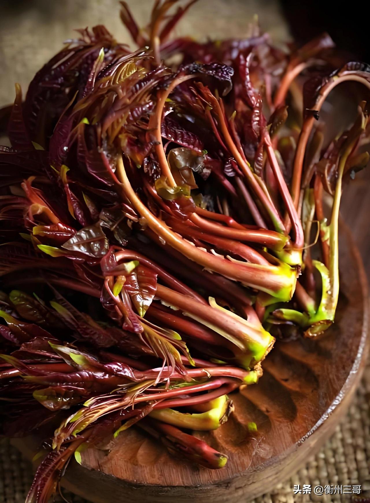 - 春日头鲜，树上珍味
- 时令香椿，鲜不可挡
- 一口尝春，岁岁留香
- 椿芽