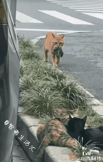 唉！太戳心了！不爱，请别伤害！