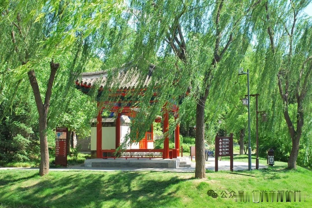 记录我的2026