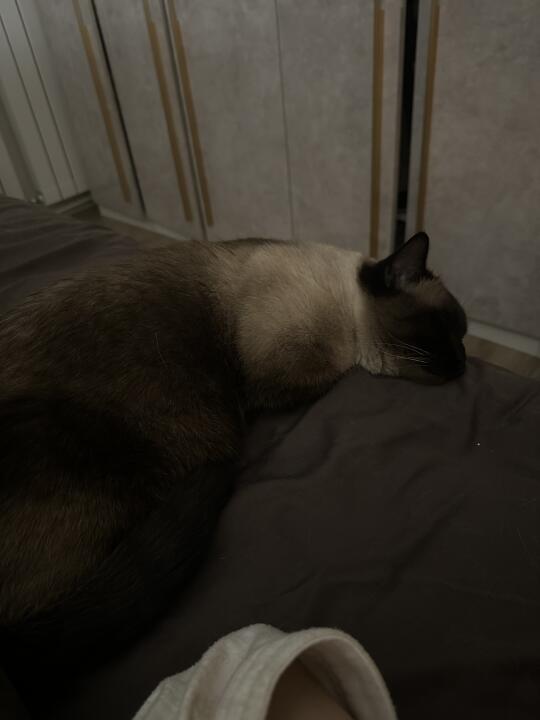晚安