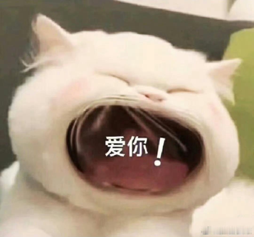 对方什么人 你什么脸色就可以了😌 