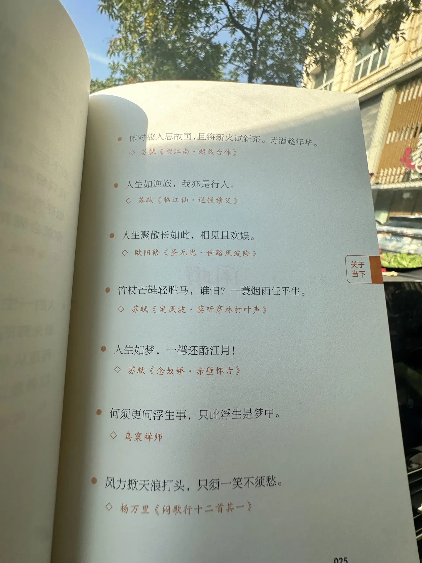 风吹哪页， 读哪页！ 如何提升自己气质？