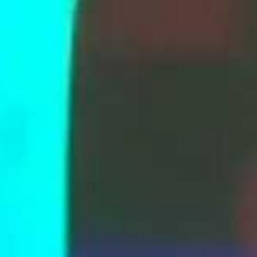 关于巴萨向西甲技术裁判委员会副主席内格雷拉支付咨询费用的案件，皇马方面希望就此案