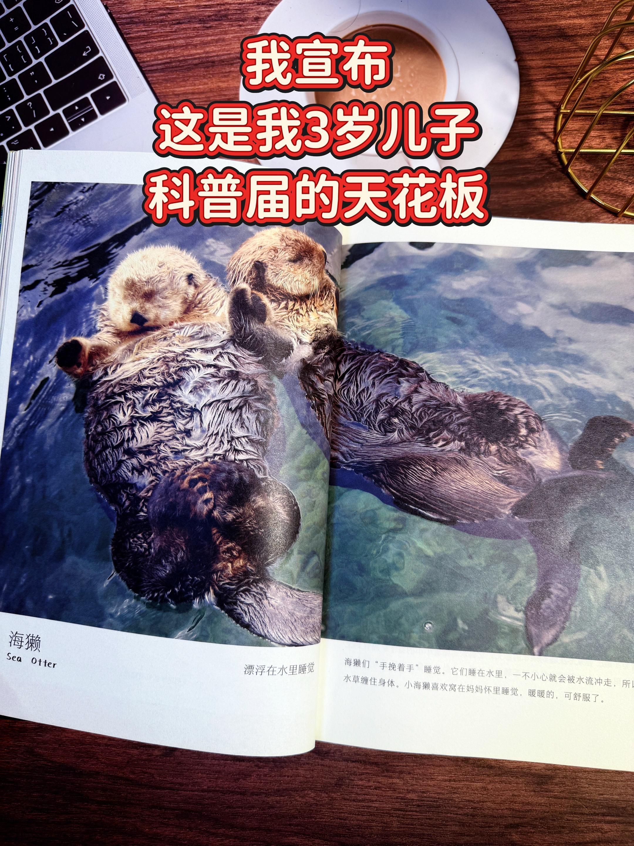 哇！🔥这套书儿童百科科普书真的杀疯了❗。这套书里面的高清实拍图视觉冲...