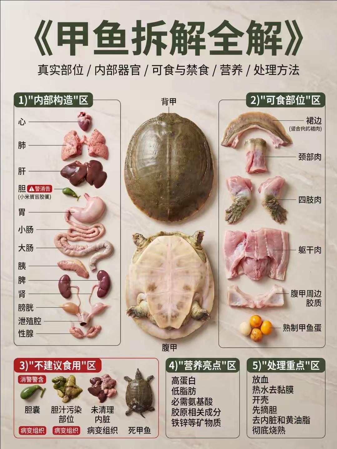 有博主教大家吃甲鱼，争议点出在甲鱼的胆能不能吃上面。

博主说甲鱼的胆不能吃。