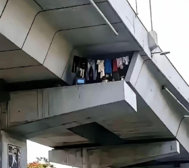 重庆，一男子乘坐01路公交经过城市高架时，偶然抬头看向桥梁混凝土夹层，眼前的一幕